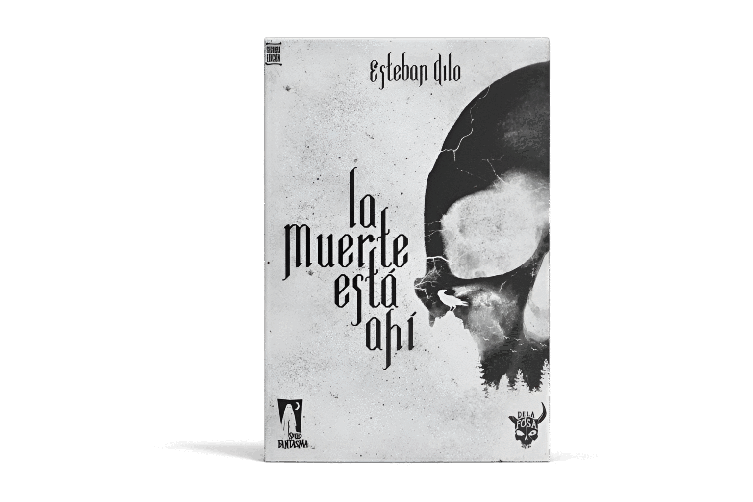 hardcover book mockup poster (1) (1)